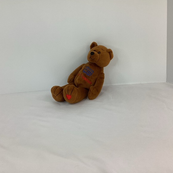 San Francisco Plush Souvenir Teddy Bear Bean Bag Brown Stuffed Animal Heart - Picture 3 of 8